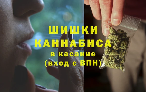 амф Белокуриха