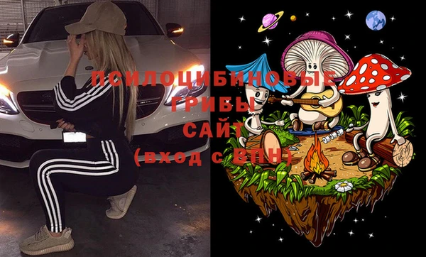 амф Белокуриха