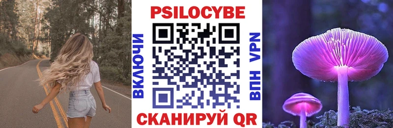цены   Будённовск  hydra вход  Галлюциногенные грибы мицелий 